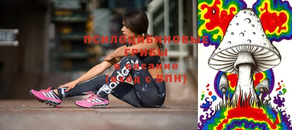 мескалин Новодвинск
