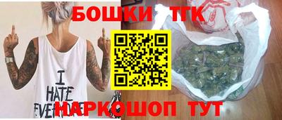 индика Гай