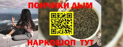 индика Гай