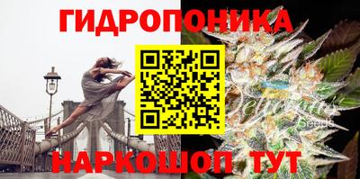 индика Гай