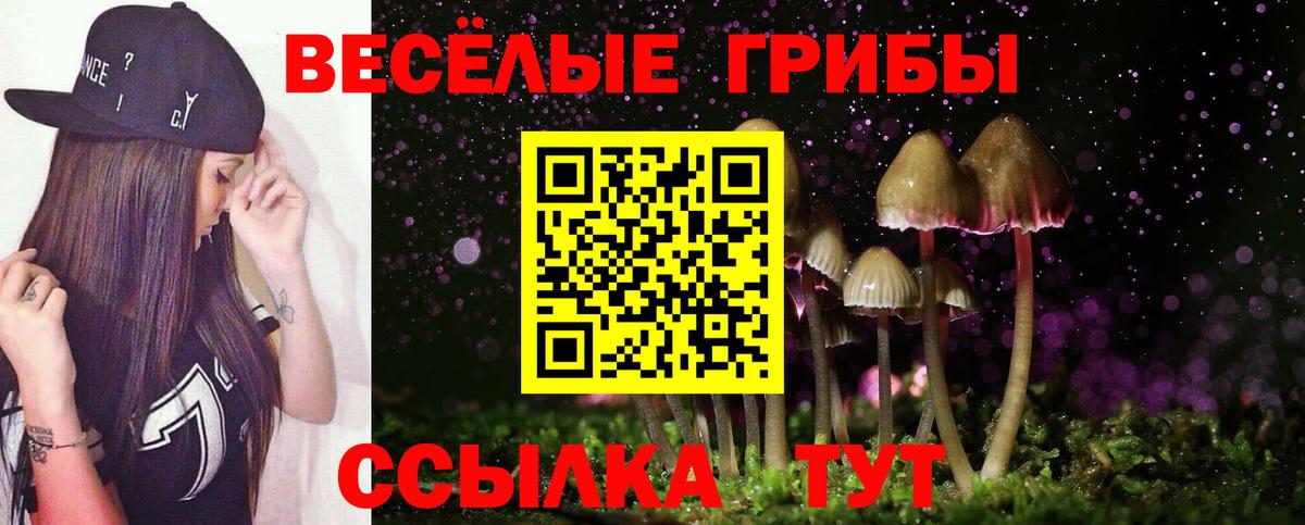 Краснокаменск  Галлюциногенные грибы Psilocybe  Галлюциногенные грибы MAGIC MUSHROOMS  Вход с VPN 