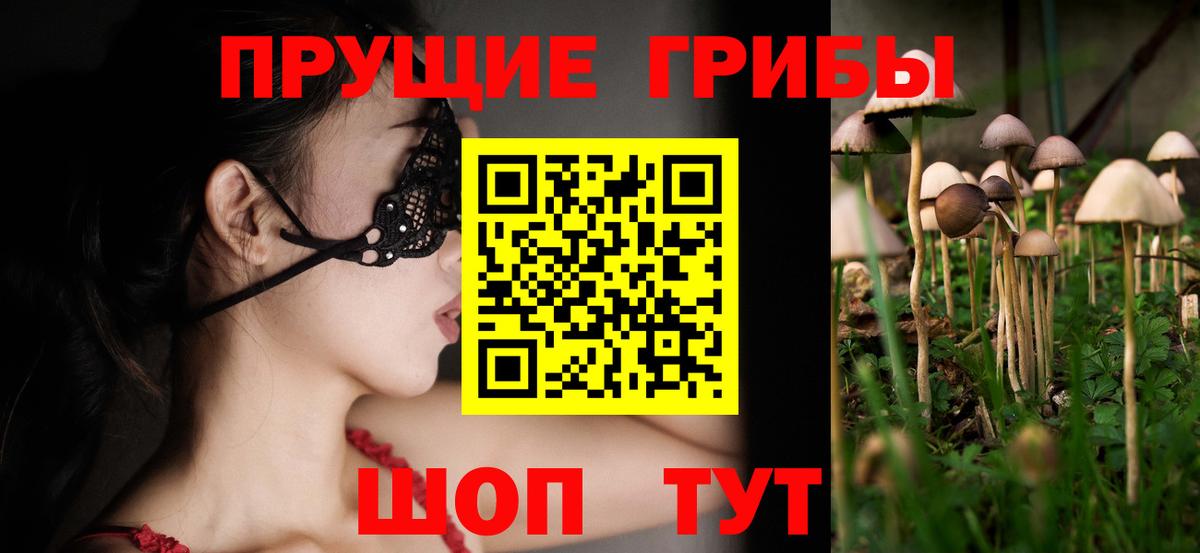 Псилоцибиновые грибы прущие грибы Краснокаменск