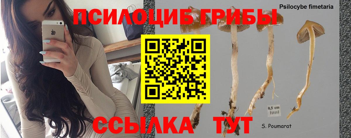 Галлюциногенные грибы Cubensis  Псилоцибиновые грибы мицелий  Краснокаменск 